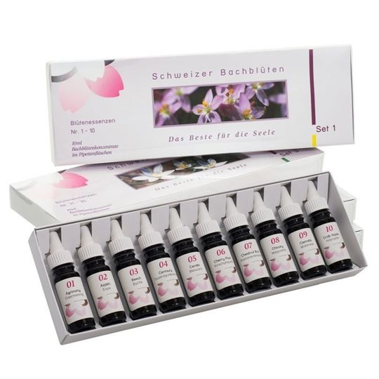 Immagine di Bachblüten-Familien-Set Violettglas 40 x 10 ml