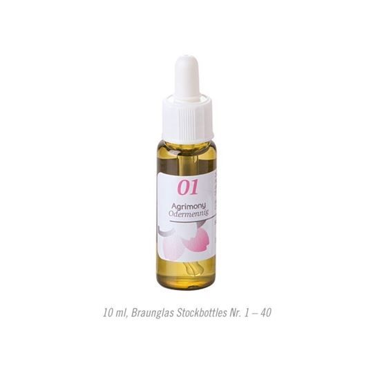 Bild von 5 Cerato — Bleiwurz Bachblüten von Phytodor