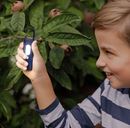 Image sur Expedition Natur Clip Taschenlampe, VE-12