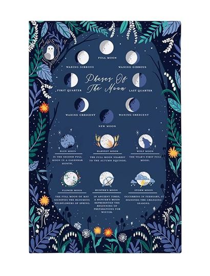 Immagine di Phases of Moon Cotton Tea Towel - Ulster Weavers