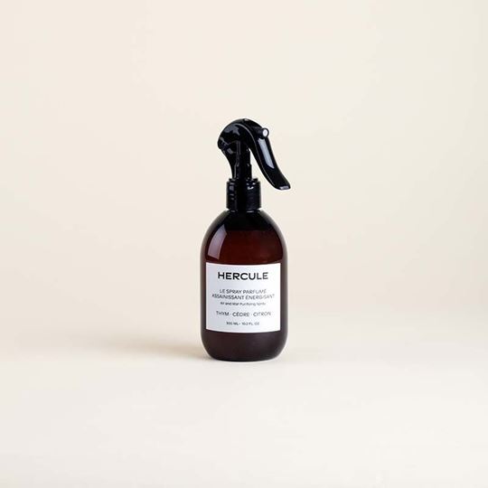 Picture of Air and Mat Purifying Spray