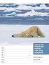 Bild von Tierisch! Sprüchekalender - Wochenplaner Kalender 2026
