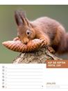 Bild von Tierisch! Sprüchekalender - Wochenplaner Kalender 2026