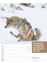 Bild von Tierisch! Sprüchekalender - Wochenplaner Kalender 2026