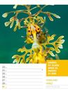 Bild von Tierisch! Sprüchekalender - Wochenplaner Kalender 2026