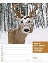 Bild von Tierisch! Sprüchekalender - Wochenplaner Kalender 2026