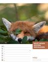 Bild von Tierisch! Sprüchekalender - Wochenplaner Kalender 2026
