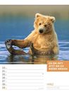 Bild von Tierisch! Sprüchekalender - Wochenplaner Kalender 2026