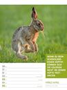 Bild von Tierisch! Sprüchekalender - Wochenplaner Kalender 2026