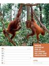 Bild von Tierisch! Sprüchekalender - Wochenplaner Kalender 2026