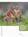 Bild von Tierisch! Sprüchekalender - Wochenplaner Kalender 2026