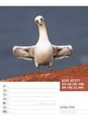 Bild von Tierisch! Sprüchekalender - Wochenplaner Kalender 2026