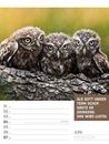 Bild von Tierisch! Sprüchekalender - Wochenplaner Kalender 2026
