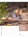 Bild von Tierisch! Sprüchekalender - Wochenplaner Kalender 2026