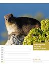 Bild von Tierisch! Sprüchekalender - Wochenplaner Kalender 2026