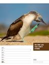 Bild von Tierisch! Sprüchekalender - Wochenplaner Kalender 2026
