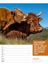 Bild von Tierisch! Sprüchekalender - Wochenplaner Kalender 2026