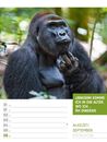 Bild von Tierisch! Sprüchekalender - Wochenplaner Kalender 2026