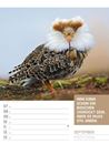 Bild von Tierisch! Sprüchekalender - Wochenplaner Kalender 2026