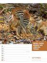 Bild von Tierisch! Sprüchekalender - Wochenplaner Kalender 2026