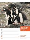 Bild von Tierisch! Sprüchekalender - Wochenplaner Kalender 2026