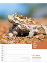 Bild von Tierisch! Sprüchekalender - Wochenplaner Kalender 2026