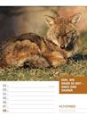 Bild von Tierisch! Sprüchekalender - Wochenplaner Kalender 2026