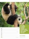 Bild von Tierisch! Sprüchekalender - Wochenplaner Kalender 2026