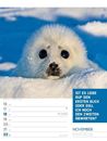 Bild von Tierisch! Sprüchekalender - Wochenplaner Kalender 2026