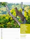 Bild von Tierisch! Sprüchekalender - Wochenplaner Kalender 2026