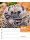 Bild von Tierisch! Sprüchekalender - Wochenplaner Kalender 2026