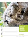 Bild von Tierisch! Sprüchekalender - Wochenplaner Kalender 2026