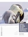 Bild von Tierisch! Sprüchekalender - Wochenplaner Kalender 2026