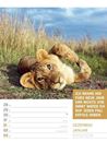 Bild von Tierisch! Sprüchekalender - Wochenplaner Kalender 2026