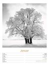 Bild von Silent Nature - Schwarz-Weiss-Wochenplaner Kalender 2026