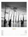 Bild von Silent Nature - Schwarz-Weiss-Wochenplaner Kalender 2026