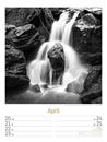 Bild von Silent Nature - Schwarz-Weiss-Wochenplaner Kalender 2026