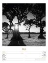 Bild von Silent Nature - Schwarz-Weiss-Wochenplaner Kalender 2026