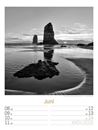 Bild von Silent Nature - Schwarz-Weiss-Wochenplaner Kalender 2026