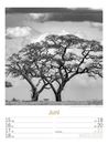Bild von Silent Nature - Schwarz-Weiss-Wochenplaner Kalender 2026