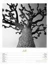Bild von Silent Nature - Schwarz-Weiss-Wochenplaner Kalender 2026