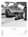 Bild von Silent Nature - Schwarz-Weiss-Wochenplaner Kalender 2026