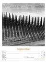 Bild von Silent Nature - Schwarz-Weiss-Wochenplaner Kalender 2026