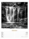 Bild von Silent Nature - Schwarz-Weiss-Wochenplaner Kalender 2026