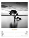 Bild von Silent Nature - Schwarz-Weiss-Wochenplaner Kalender 2026