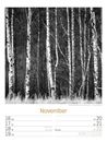 Bild von Silent Nature - Schwarz-Weiss-Wochenplaner Kalender 2026