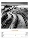 Bild von Silent Nature - Schwarz-Weiss-Wochenplaner Kalender 2026