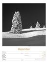Bild von Silent Nature - Schwarz-Weiss-Wochenplaner Kalender 2026