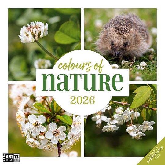 Bild von Colours of Nature Kalender 2026 - 30x30