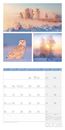 Bild von Colours of Nature Kalender 2026 - 30x30